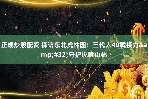 正规炒股配资 探访东北虎林园：三代人40载接力 守护虎啸山林